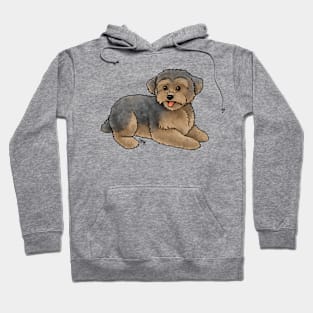 Dog - Yorkipoo - Brown and Blue Hoodie